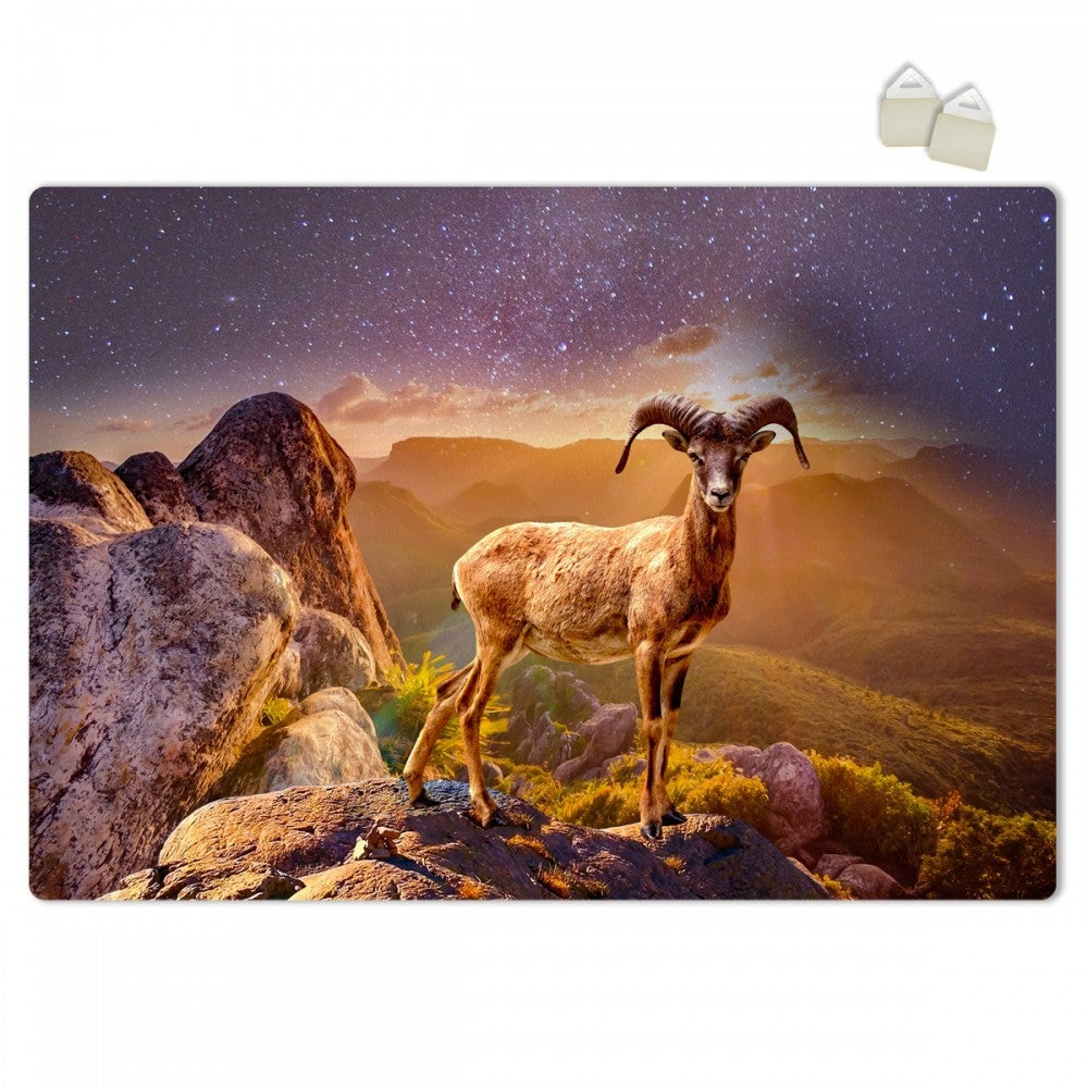 IBEX - Plakat Forex z ekspandowanego PVC o grubości 3 mm - 100x70 cm