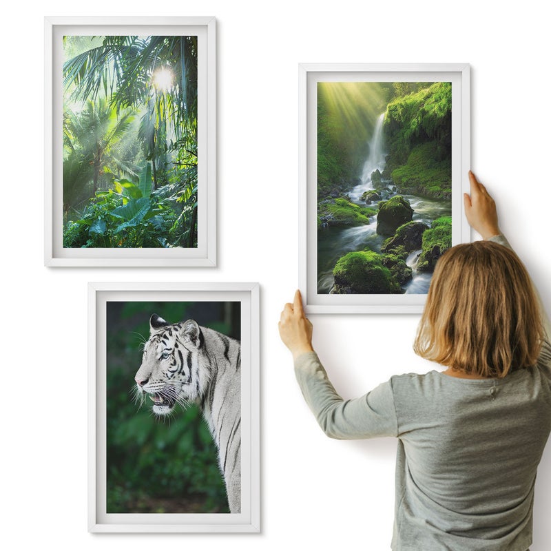 Galeria ścienna 3-częściowy komplet obrazów w białych ramach - Dżungla z białym tygrysem i dzikim wodospadem - ArtPrintCave