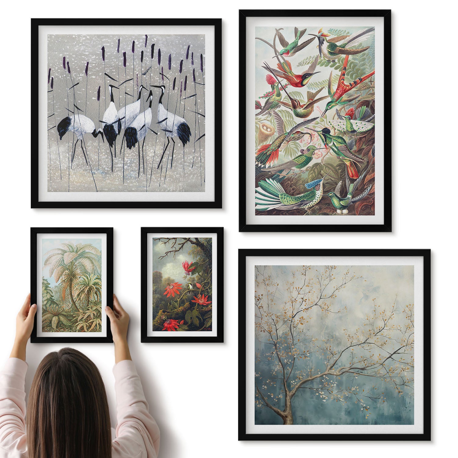 Galeria ścienna 5-częściowy komplet obrazów w czarnych ramach - Tropikalne ptaki i roślinność w stylu vintage - ArtPrintCave