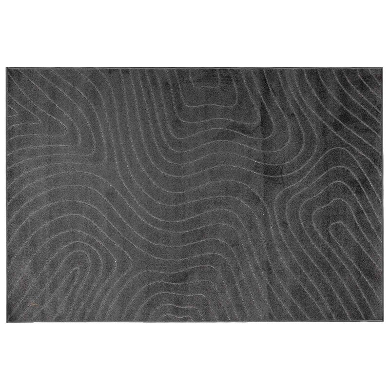 Dywany pokojowe PALMERAS Antracyt 170 x 120 cm Poliester