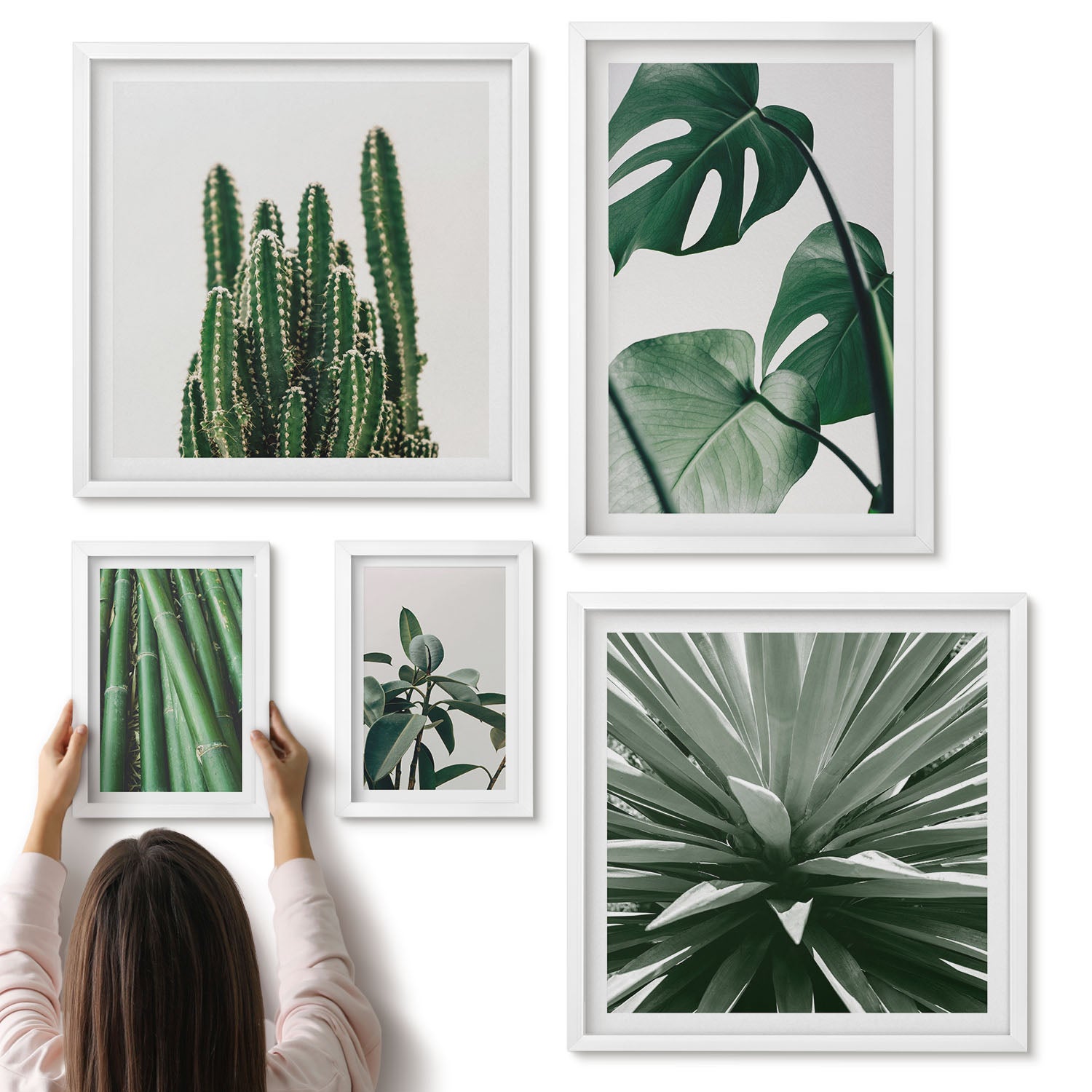 Galeria ścienna 5-częściowy komplet obrazów w białych ramach - Zielone rośliny tropikalne w nowoczesnym stylu wnętrz - ArtPrintCave