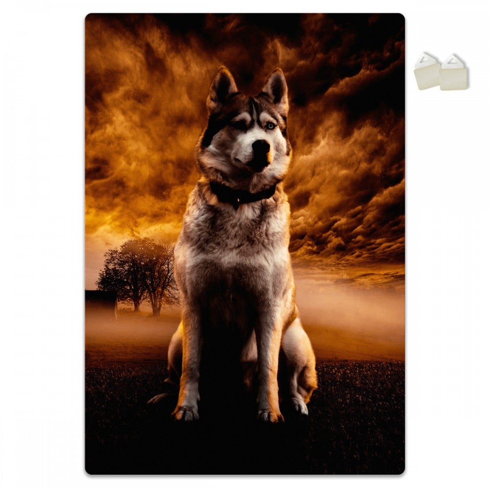 HUSKY - PLAKAT Forex z ekspandowanego PVC o grubości 3 mm - 100x70 cm