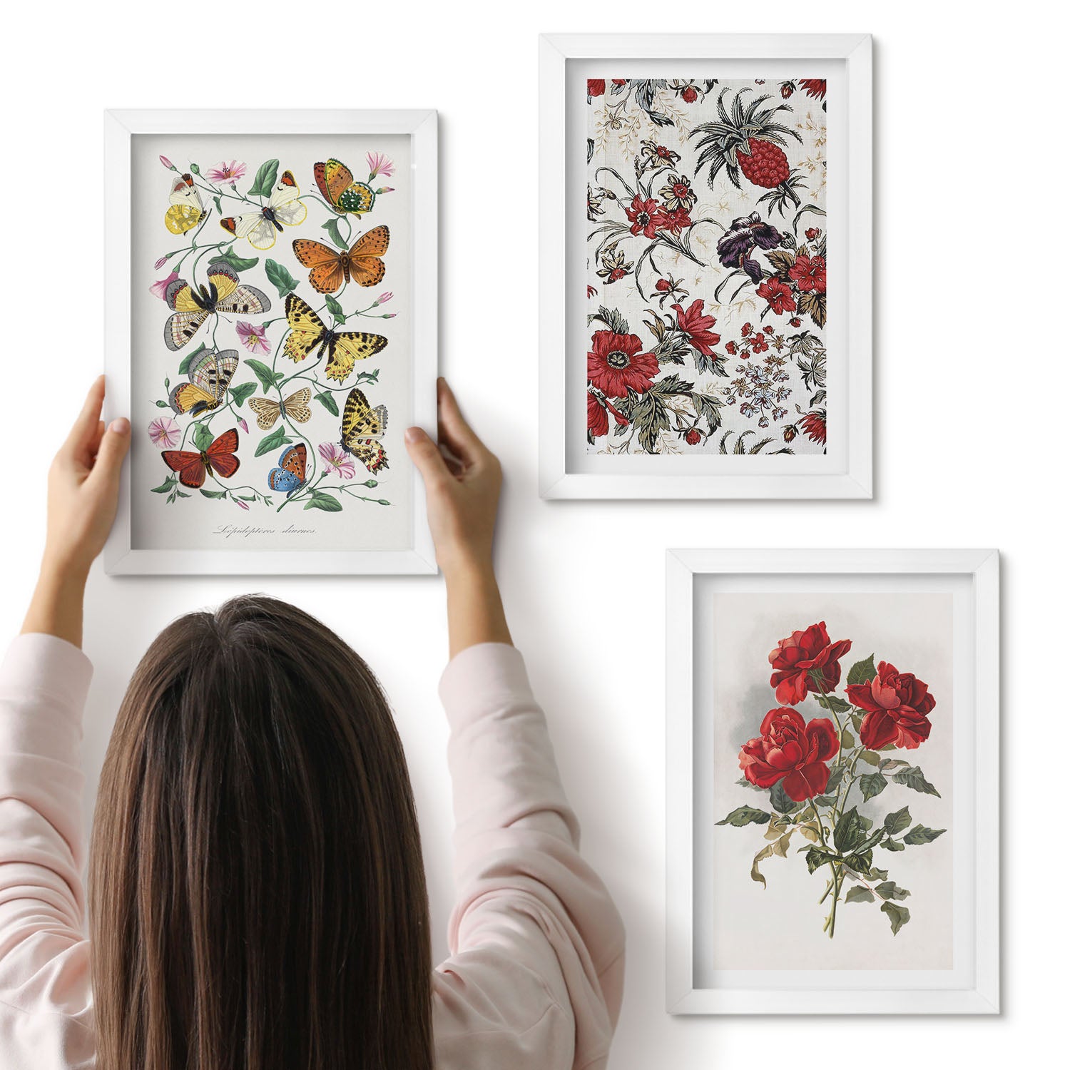 Galeria ścienna 3-częściowy komplet obrazów w białych ramach - Motyle kwiaty i czerwone róże w klasycznym stylu - ArtPrintCave