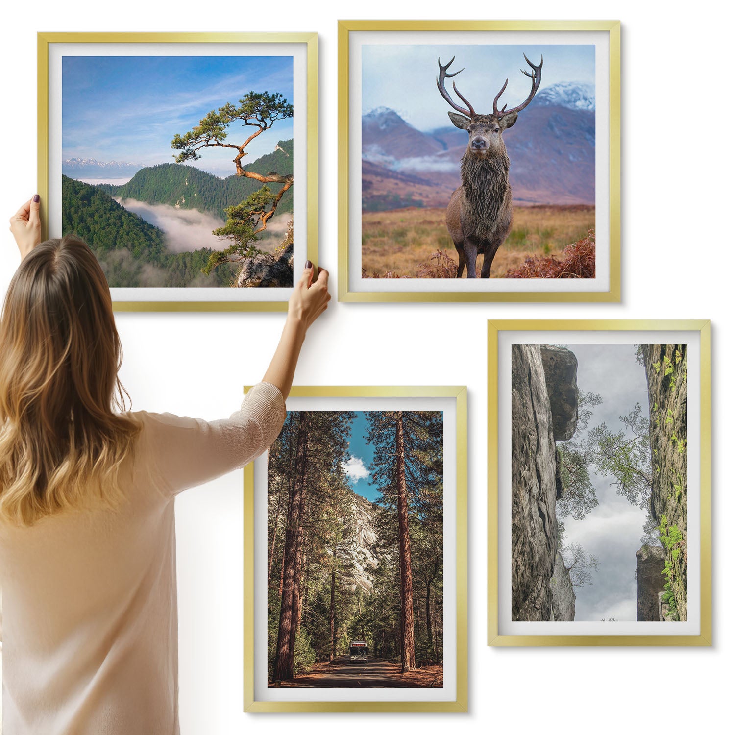Galeria ścienna 4-częściowy komplet obrazów w złotych ramach - Droga w lesie góry i jeleń w naturze - ArtPrintCave