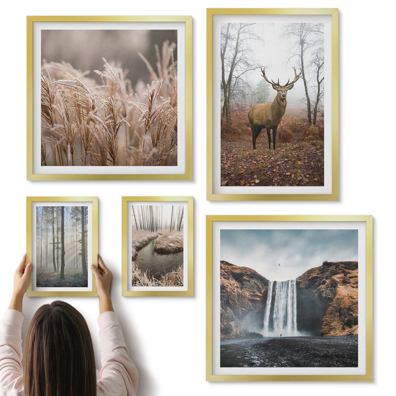 Galeria ścienna 5-częściowy komplet obrazów w złotych ramach - Naturalne krajobrazy dzikiej przyrody z leśnymi zwierzętami - ArtPrintCave