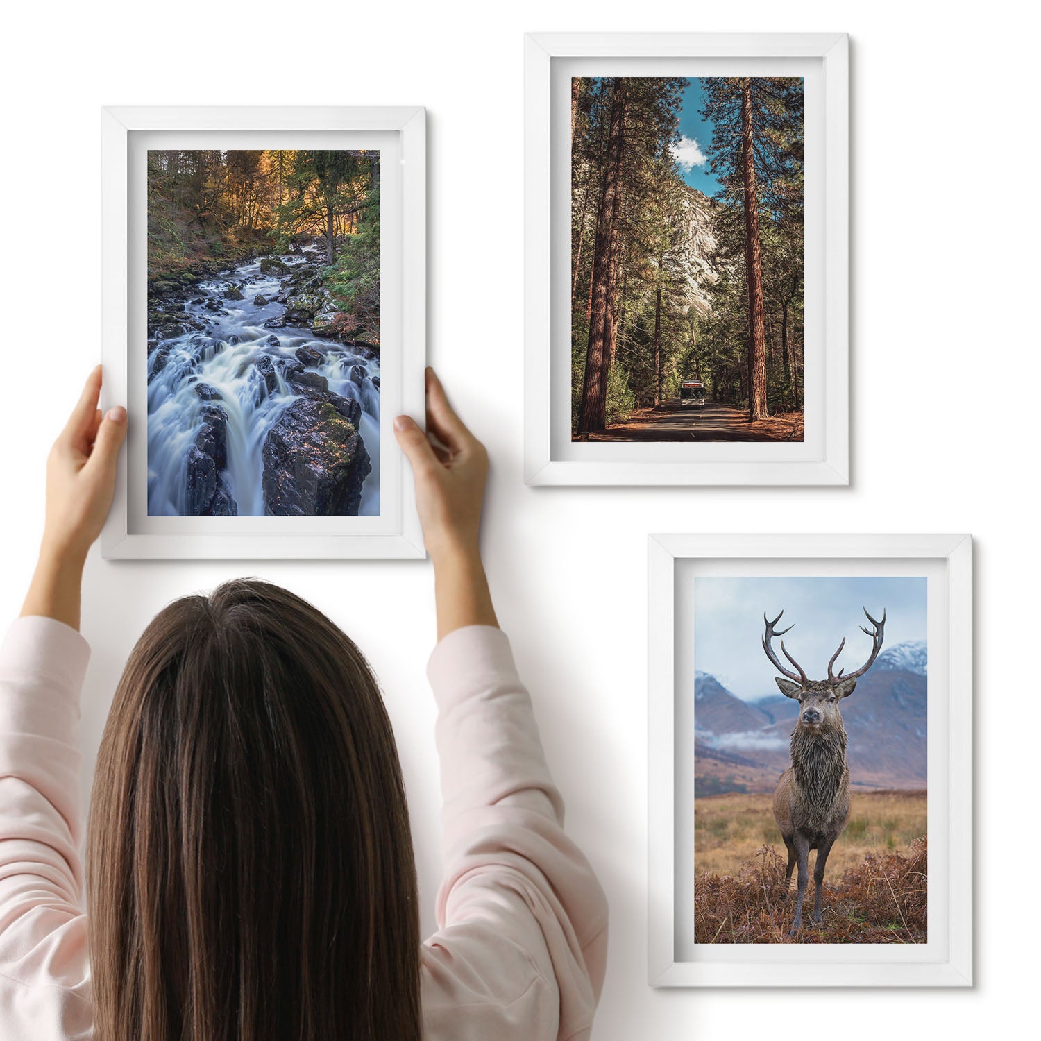 Galeria ścienna 3-częściowy komplet obrazów w białych ramach - Wodospad w lesie góry i jeleń w naturze - ArtPrintCave