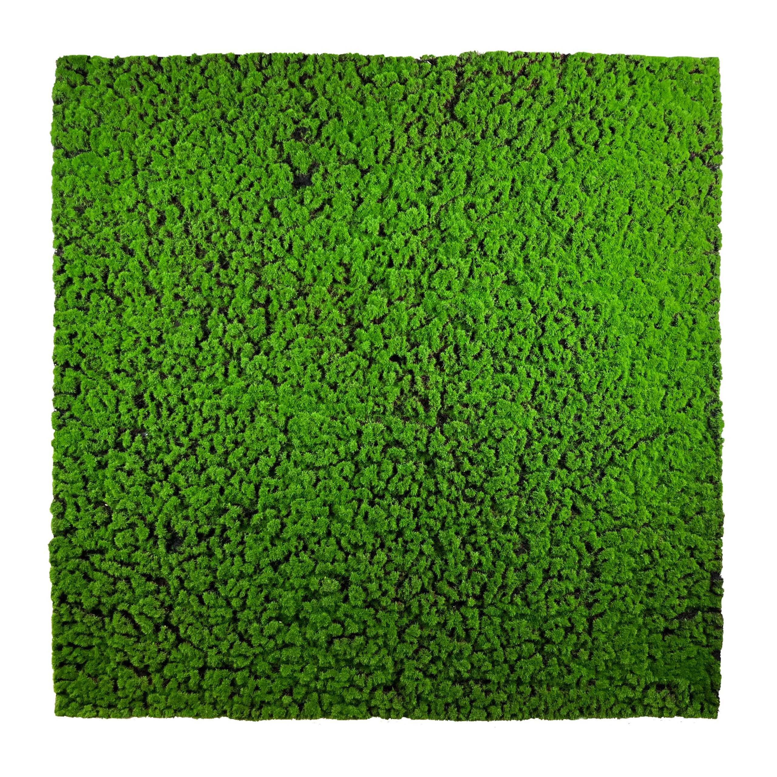 Sztuczny panel ścienny, sztuczna dekoracja, Sztuczny Mech Chrobotek 100x100cm