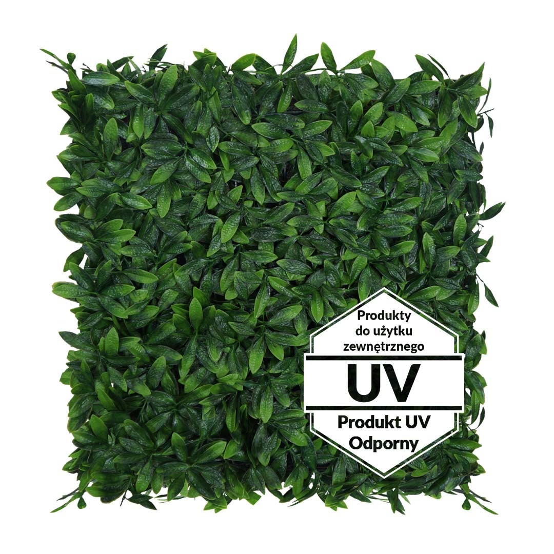 Sztuczna zielona ściana z roślin, panel ścienny, sztuczna roślina, mata Laurowiśnia UV 50x50cm