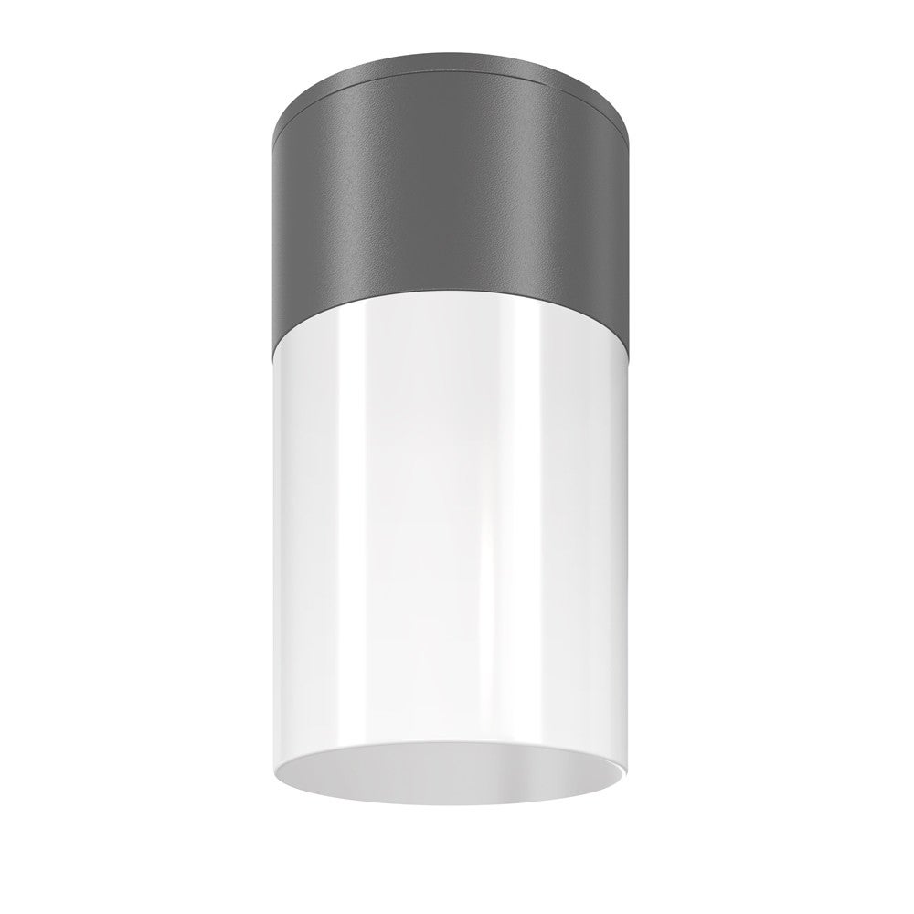 Lampa sufitowa zewnętrzna Willis grafitowo-biała 1xE27x60W wym: 14 x 8 x 8 cm tworzywo sztuczne Maytoni