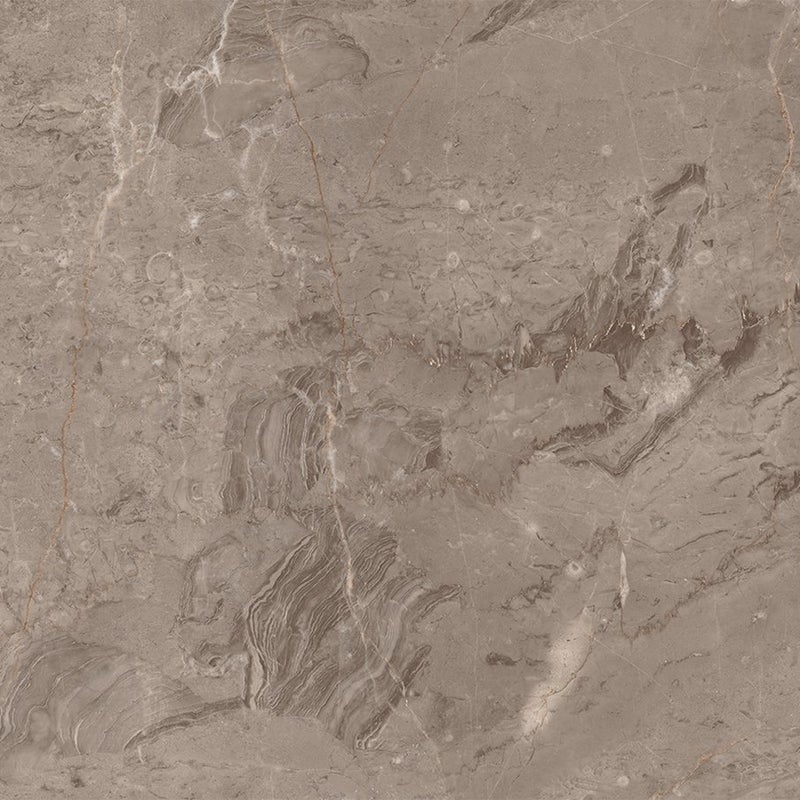 Mexen Arbour Taupe gres szkliwiony rekt. G1, płytka podłogowo-ścienna 120 x 60 cm, połysk - TL158-120-060-01