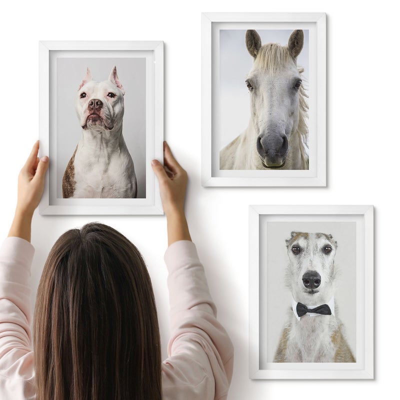 Galeria ścienna 3-częściowy komplet obrazów w białych ramach - Ciekawe portrety psów i konia w eleganckim stylu - ArtPrintCave