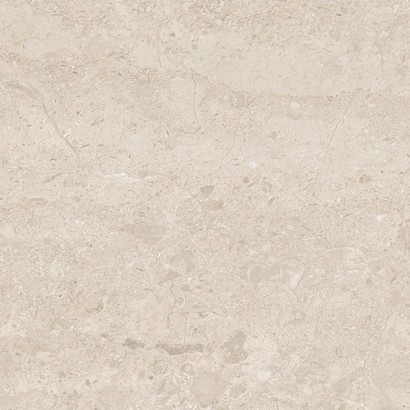 Mexen Dayno Classic gres szkliwiony rekt. G1, płytka podłogowo-ścienna 120 x 60 cm, połysk - TL166-120-060-01