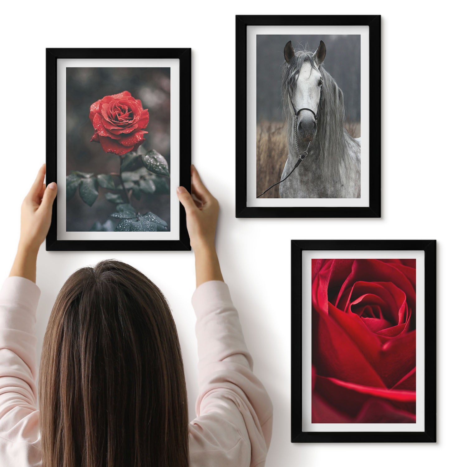 Galeria ścienna 3-częściowy komplet obrazów w czarnych ramach - Czerwone róże i koń w szarym otoczeniu - ArtPrintCave