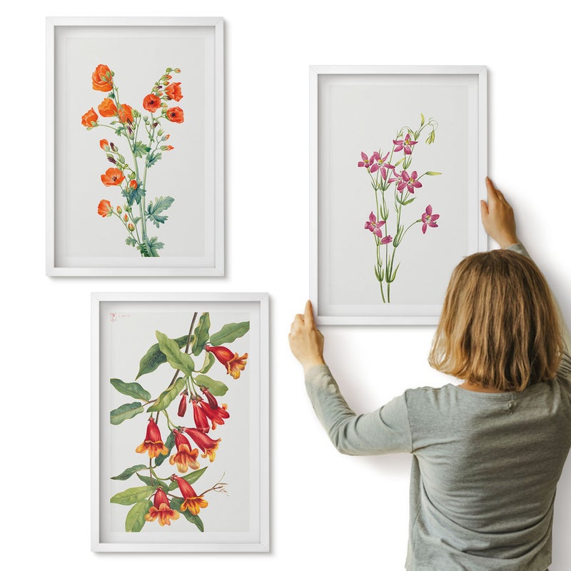 Galeria ścienna 3-częściowy komplet obrazów w białych ramach - Malunek kwiatów w stylu vintage retro - ArtPrintCave