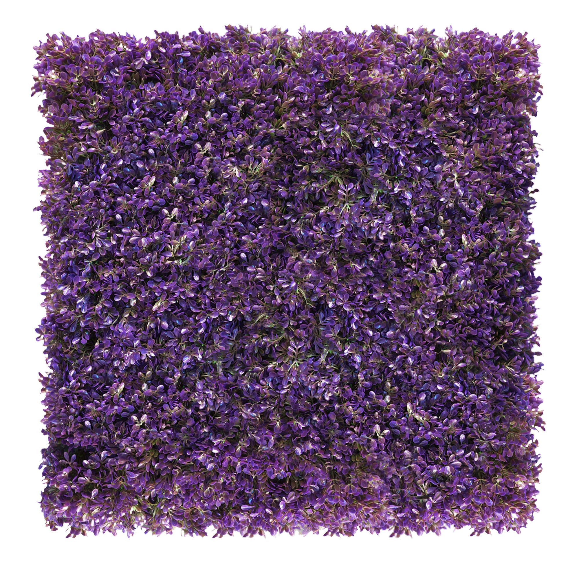 Sztuczna zielona ściana z roślin, panel ścienny, sztuczna roślina, mata Fuksja fioletowa 50x50cm