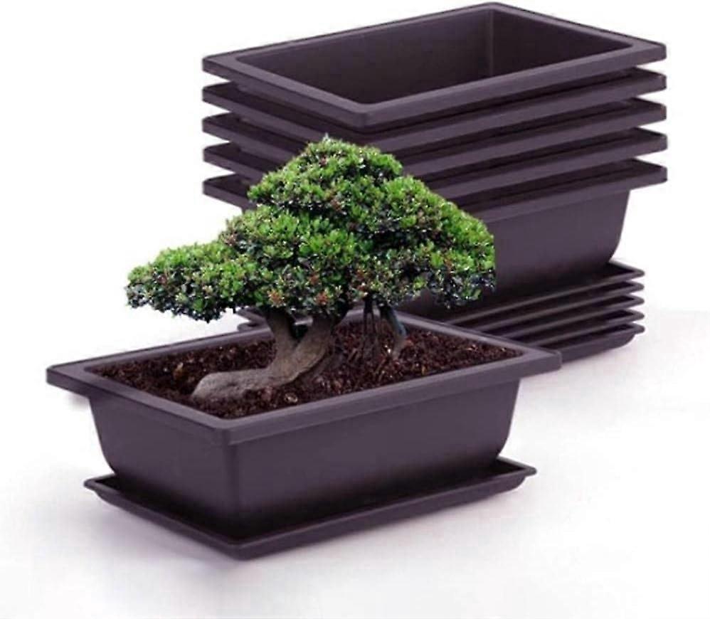 Zestaw 6 doniczek treningowych do bonsai z tacką, kwadratowa plastikowa doniczka na sukulenty do ogrodu, salonu i biura