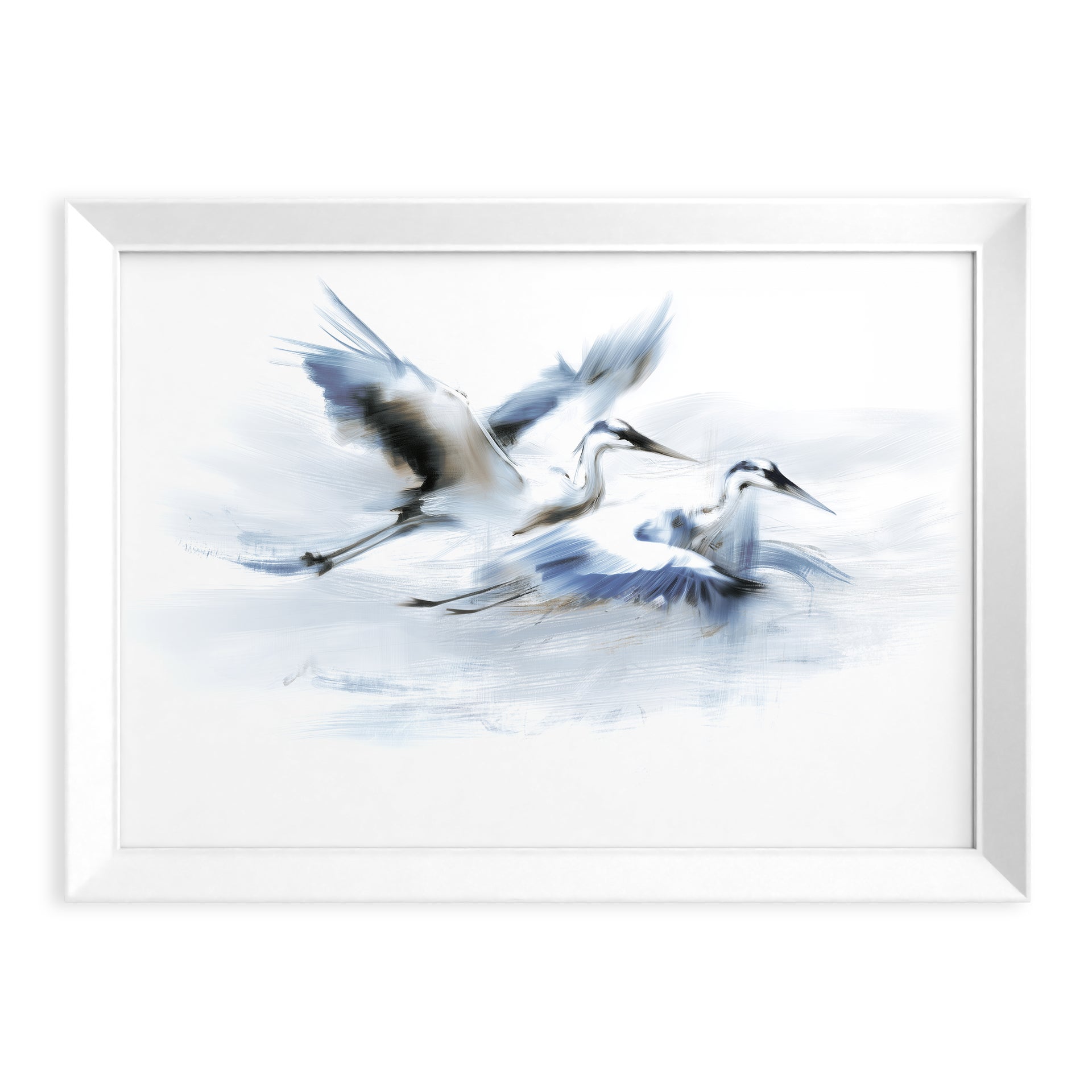 Obraz Paris Pic Blue Herons 56x75