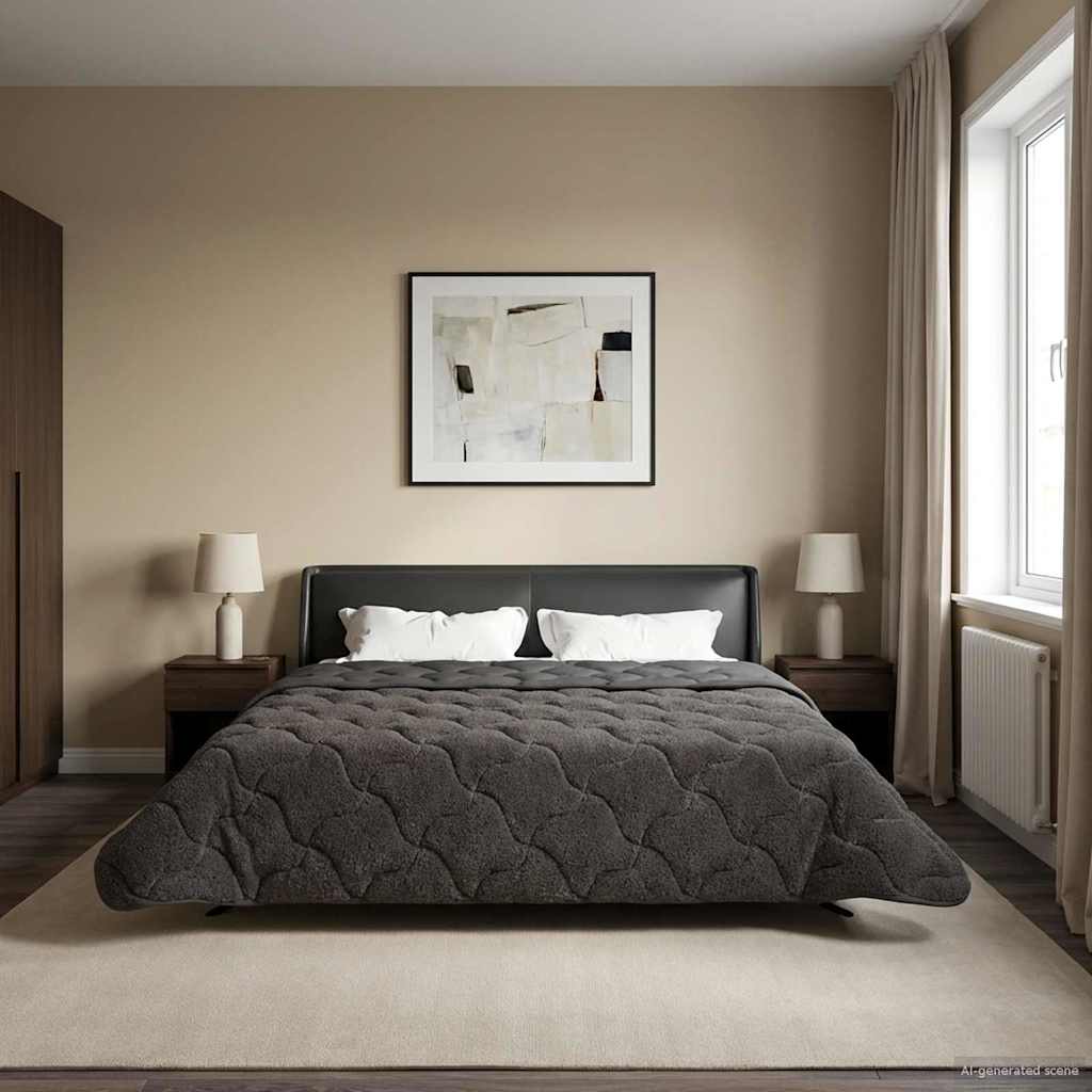 Letni Kołdra Antracyt 200 x 240 cm Mikrofibra i Fleece Teddy vidaXL