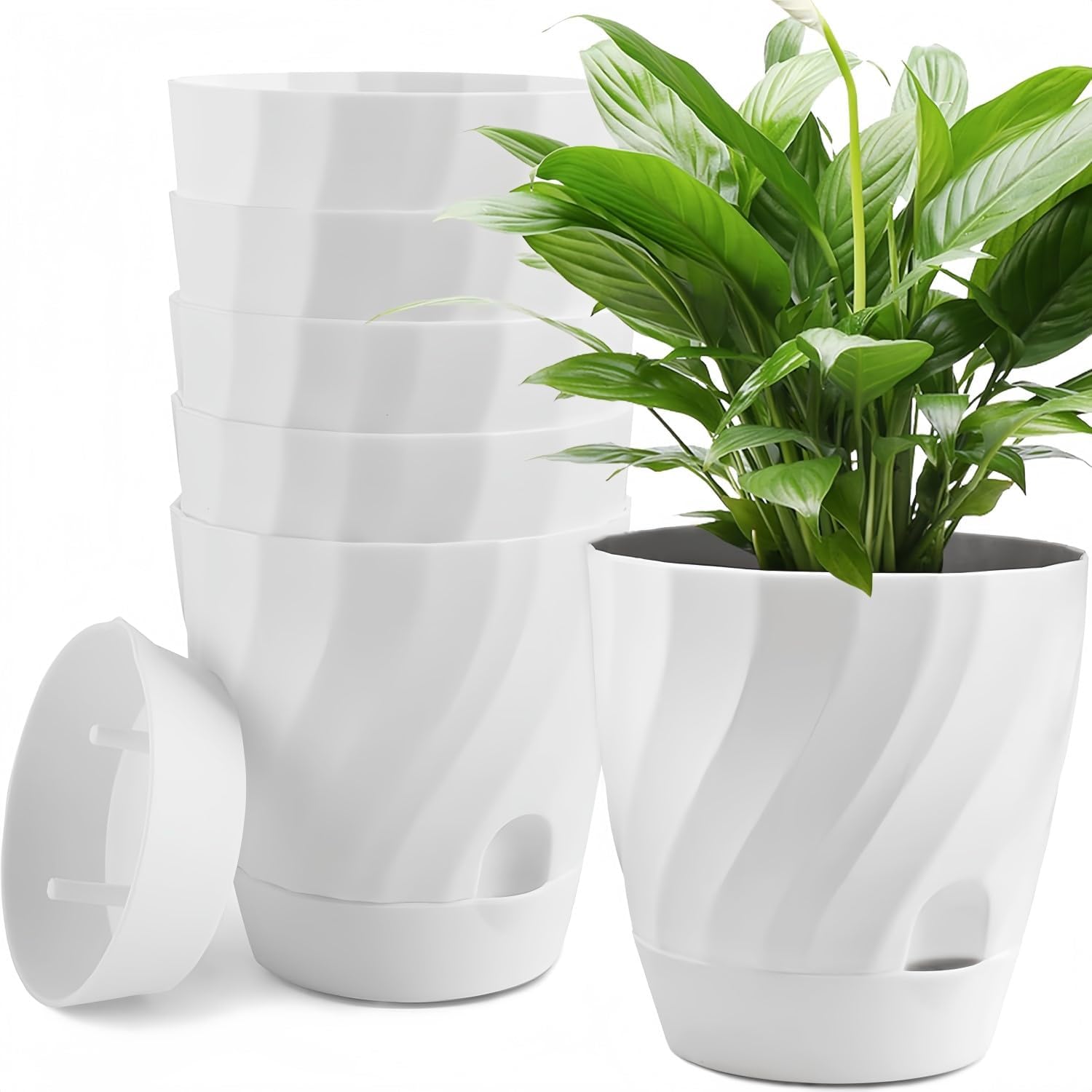 6-częściowe doniczki samonawadniające, 12 cm, okrągły, gruby plastikowy pojemnik na sukulenty, zioła, storczyki, miętę i rośliny ogrodowe – z otwore