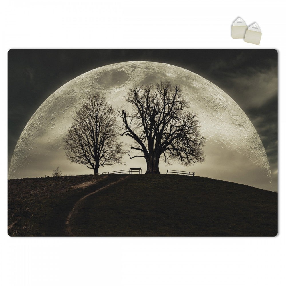 MOONLIGHT - PLAKAT Forex z ekspandowanego PVC o grubości 3 mm - 100x70 cm
