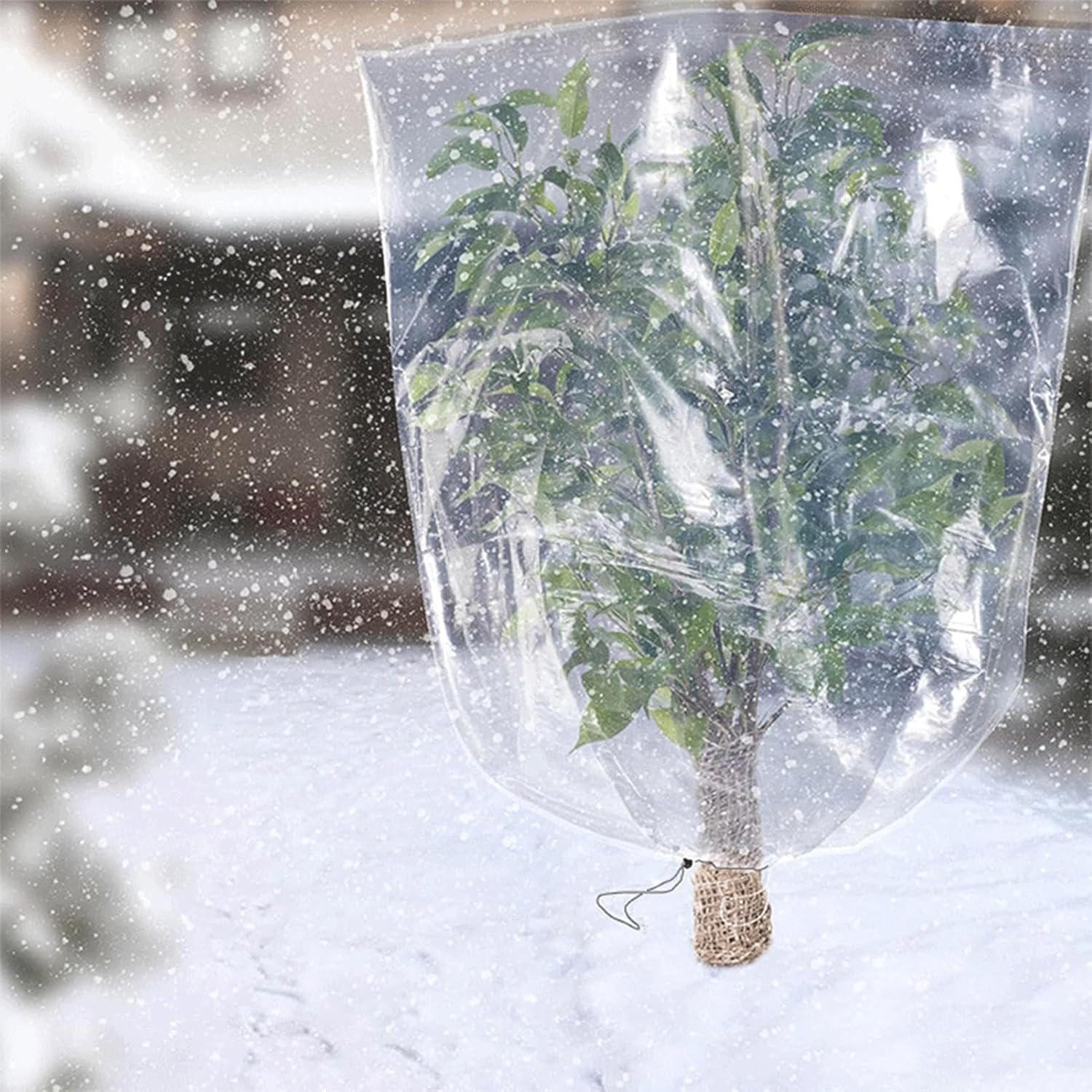 (180x120cm) Osłony roślin chroniące przed mrozem, przezroczysta osłona roślin, folia ochronna na rośliny, folia ochronna na rośliny PE, wodoodporna