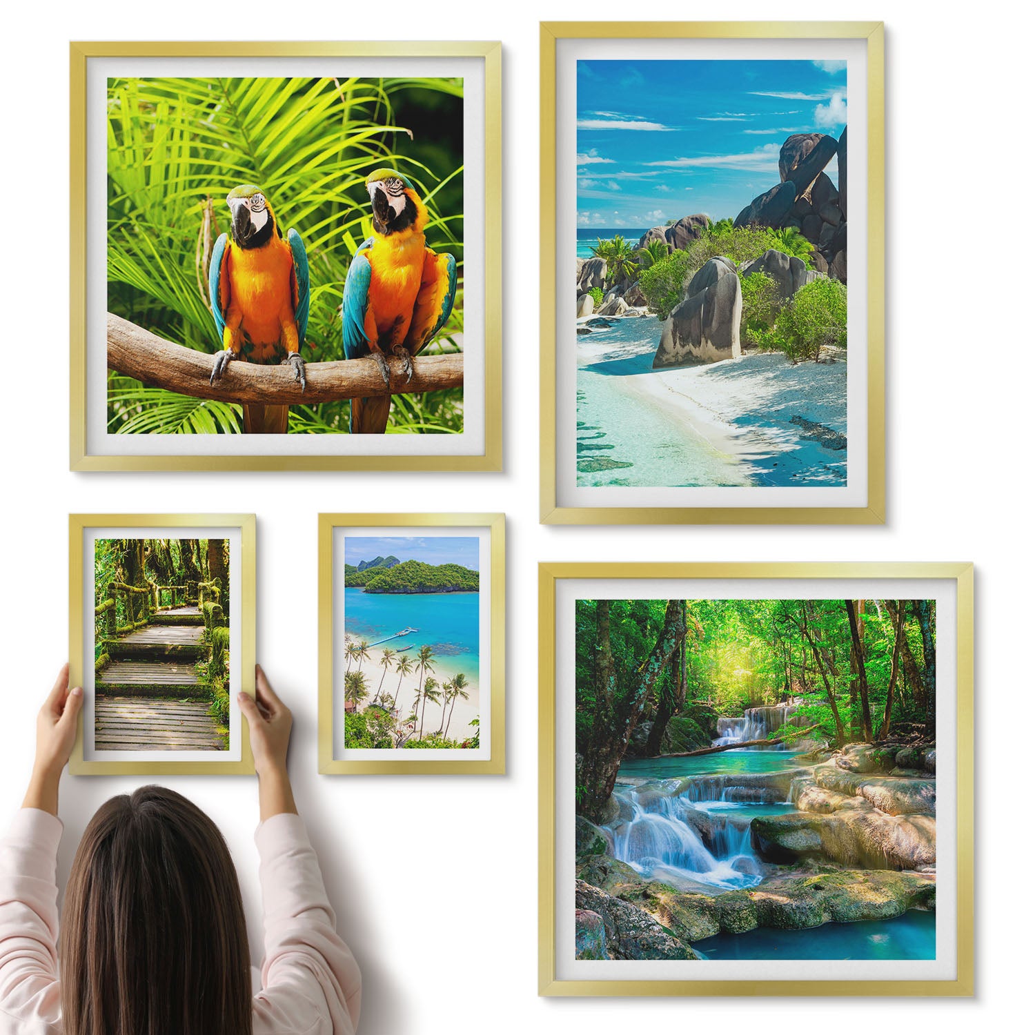 Galeria ścienna 5-częściowy komplet obrazów w złotych ramach - Tropikalne pejzaże z egzotycznymi ptakami i wodospadami - ArtPrintCave