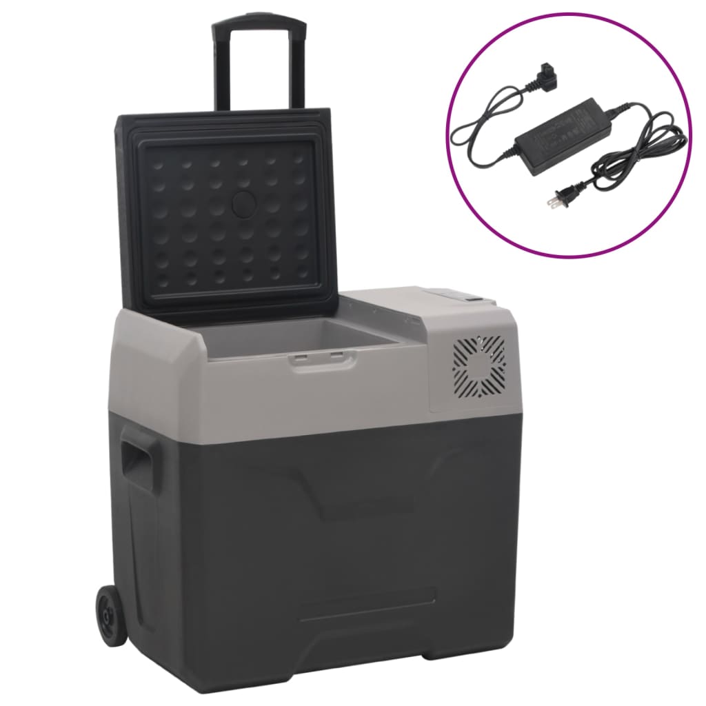 Lodówka na kółkach, z zasilaczem, czarno-szara, 50 L, PP vidaXL