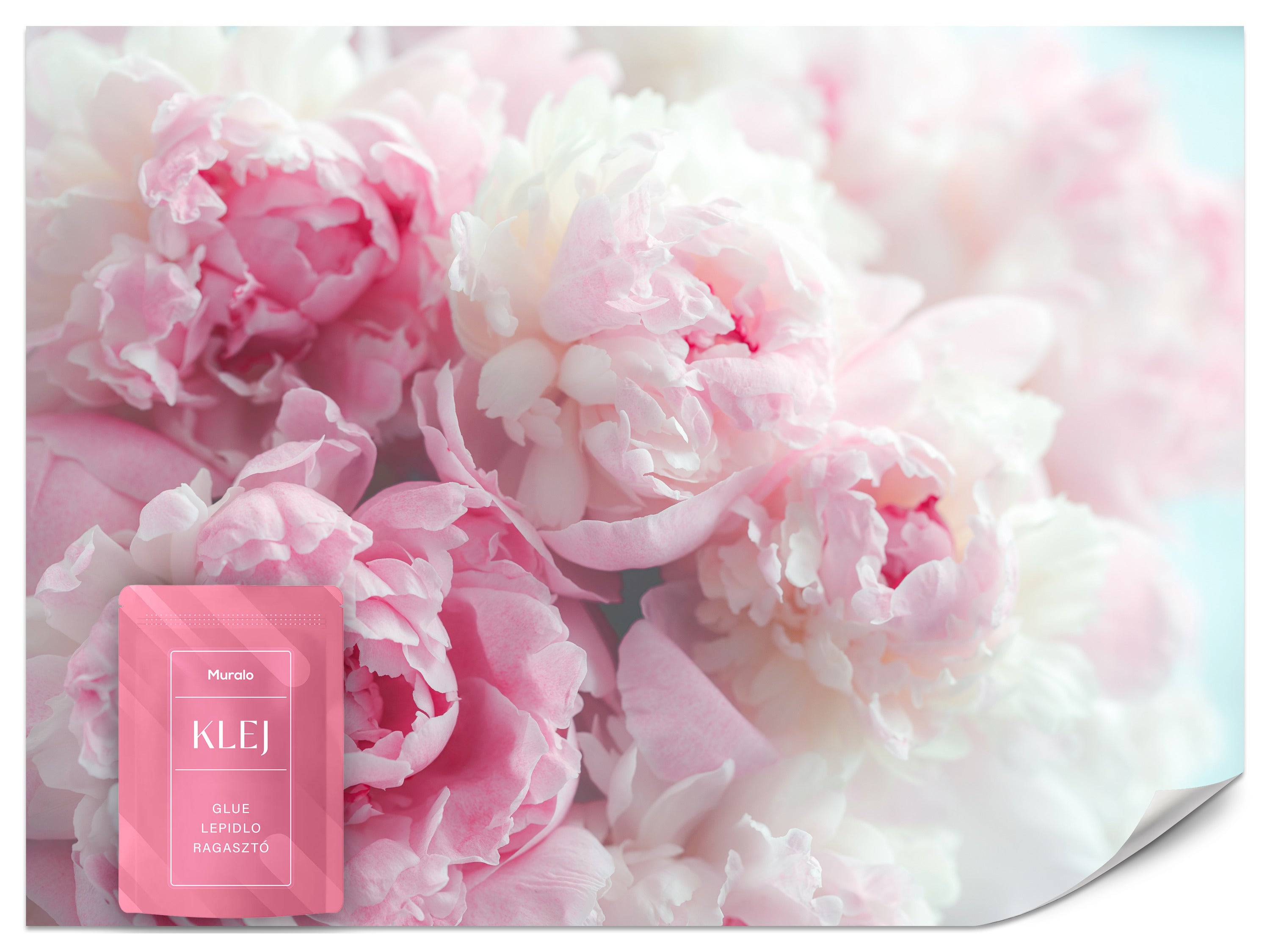 FOTOTAPETA DO SALONU SYPIALNI PIWONIE PEONIE KWIATY NATURA BOHO 3D 350x256