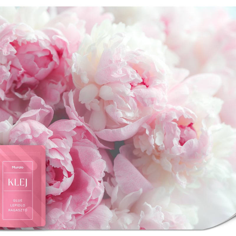 FOTOTAPETA DO SALONU SYPIALNI PIWONIE PEONIE KWIATY NATURA BOHO 3D 350x256