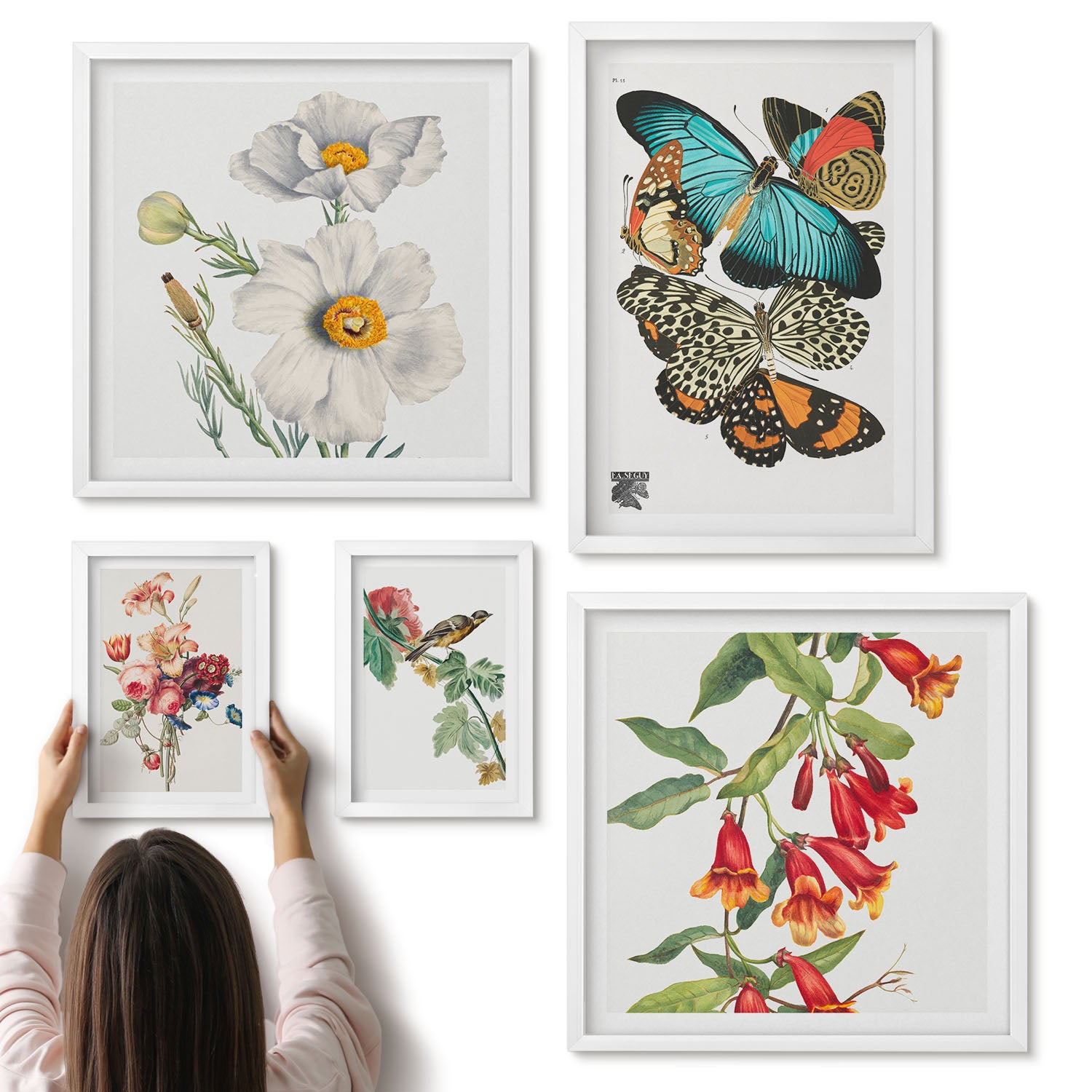 Galeria ścienna 5-częściowy komplet obrazów w białych ramach - Kwiaty motyle i ptaki w stylu vintage dekoracje ścienne - ArtPrintCave