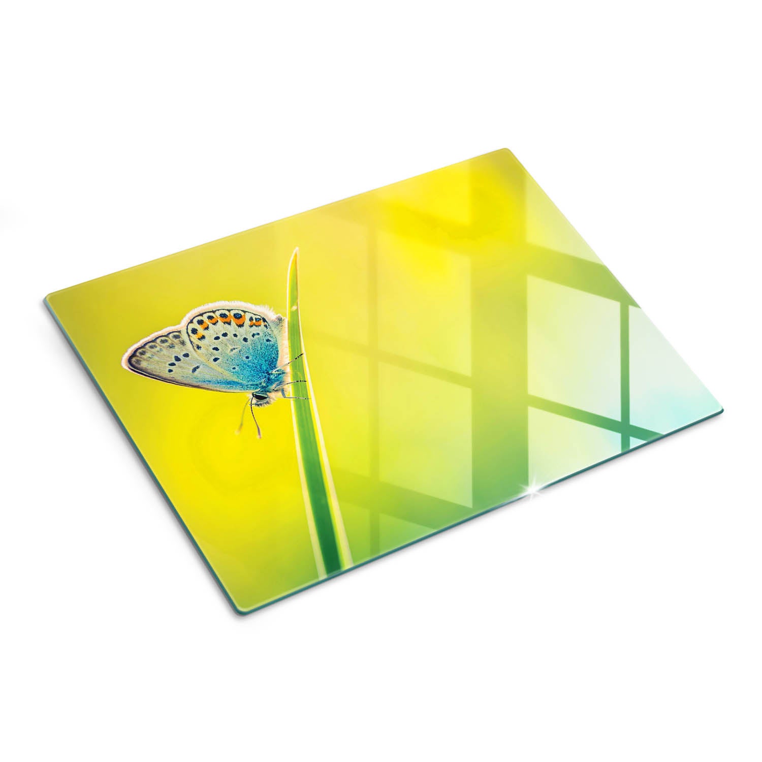 Szklana deska kuchenna z eleganckim nadrukiem - Motyl - 30x40 - Tulup
