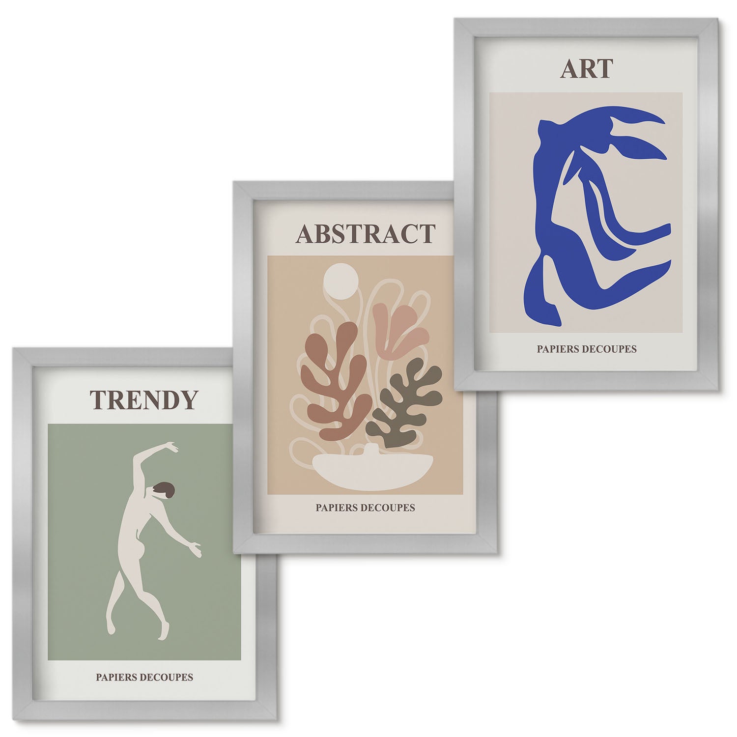 Zestaw obrazów w ramie - 3 części | Stylowe postacie i rośliny postery Henri Matisse | Srebrna ramka