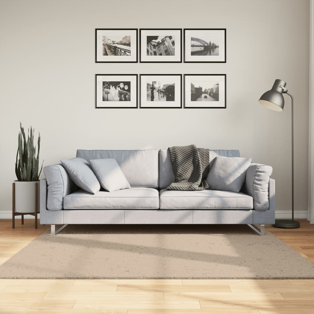 Dywan HUARTE z krótkim włosiem, piaskowy, 160x160 cm vidaXL
