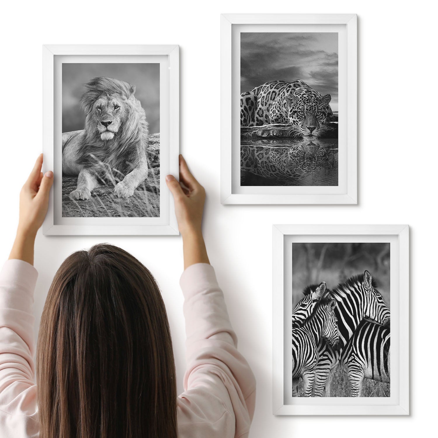 Galeria ścienna 3-częściowy komplet obrazów w białych ramach - Dzikie zwierzęta sawanny lew jaguar i zebry - ArtPrintCave