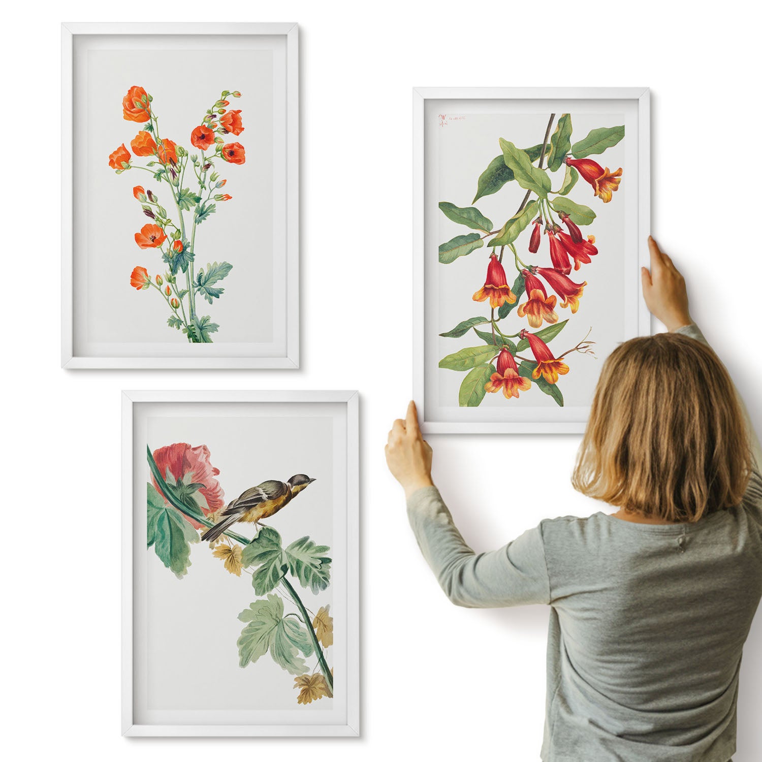Galeria ścienna 3-częściowy komplet obrazów w białych ramach - Malowane kwiaty retro i ptak na gałęzi - ArtPrintCave