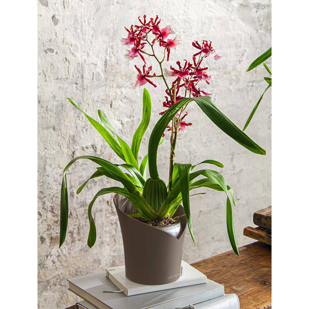 Doniczka Lechuza Do Domu Na Taras ORCHIDEA taupe mat 1 szt