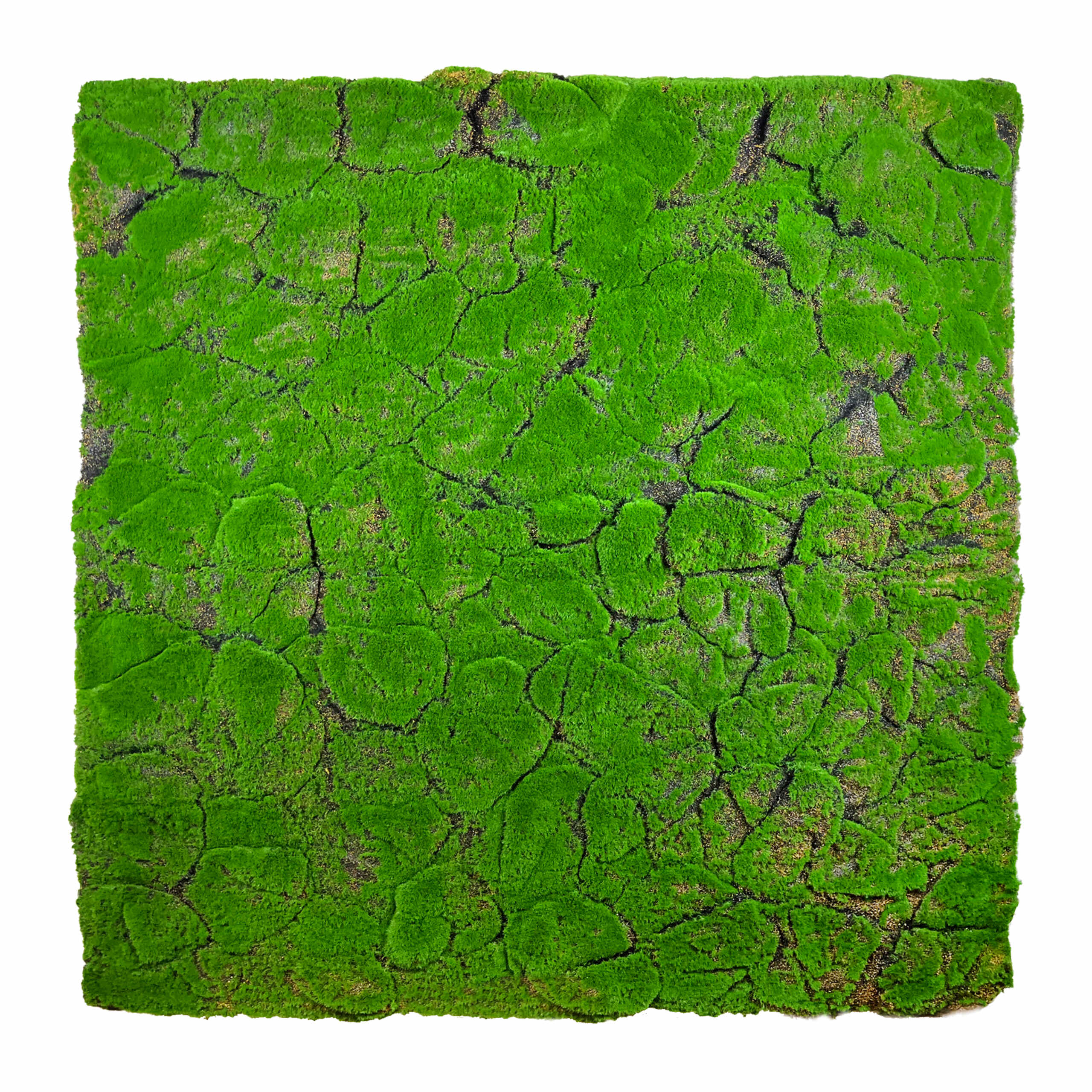 Sztuczny panel ścienny, sztuczna dekoracja, Sztuczny mech Torfowiec 100x100cm