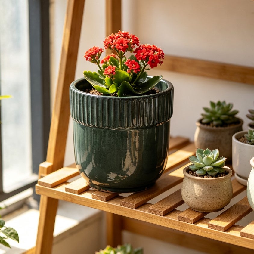 Pojedyncza, ręcznie robiona doniczka ceramiczna (średnica 23 cm), błyszcząca ciemnozielona z pionowym żłobkowanym paskiem na krawędzi, oddychająca