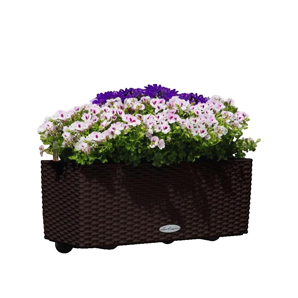 Donica Lechuza BALCONERA Cottage 50 z automatycznym nawadnianiem i wzorem wikliny