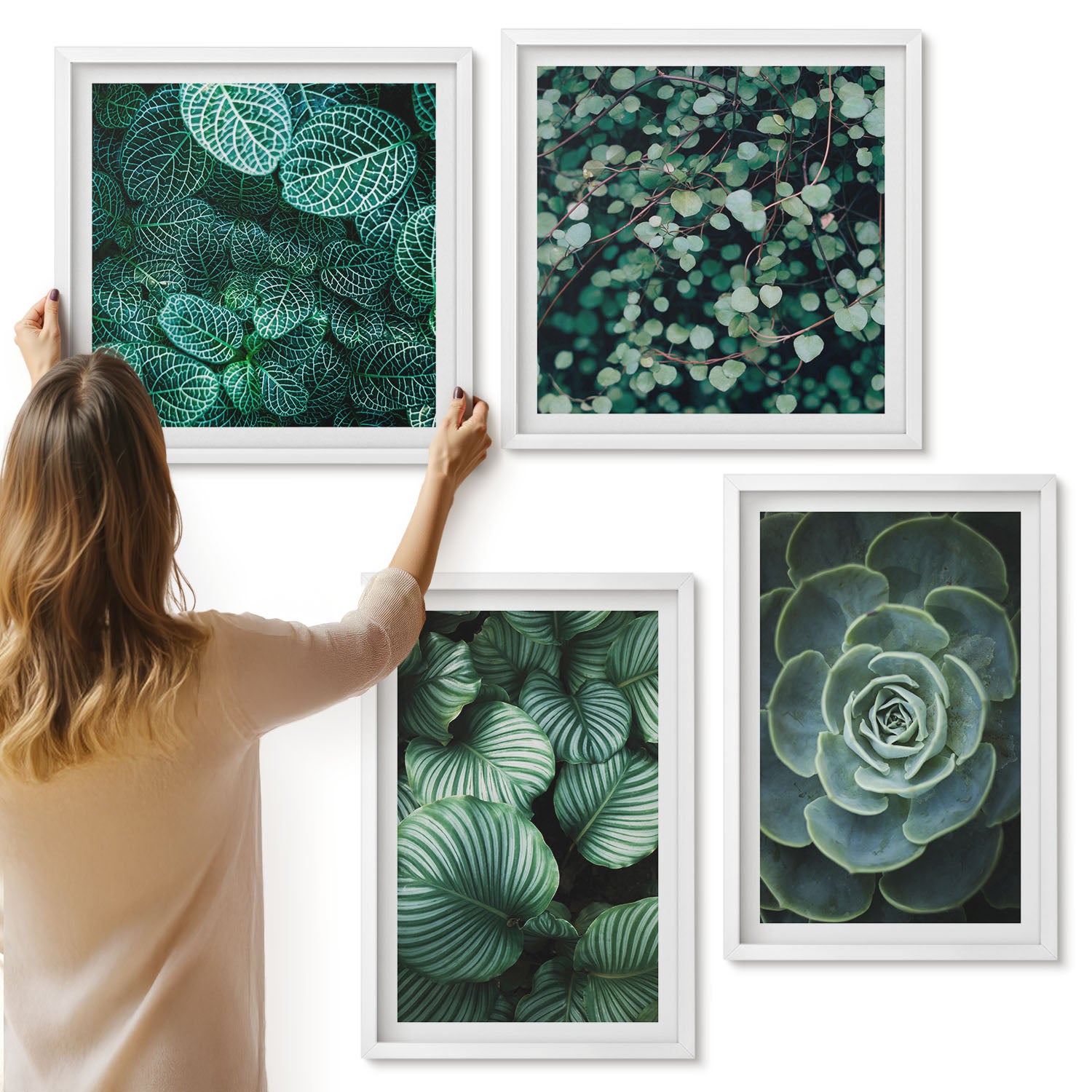 Galeria ścienna 4-częściowy komplet obrazów w białych ramach - Zielone liście roślin sukulentów i delikatnych gałązek - ArtPrintCave