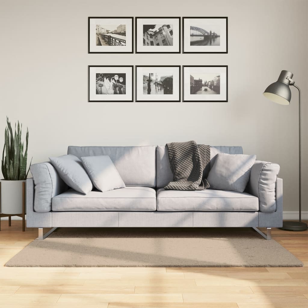 Dywan HUARTE z krótkim włosiem, piaskowy, 80x150 cm vidaXL