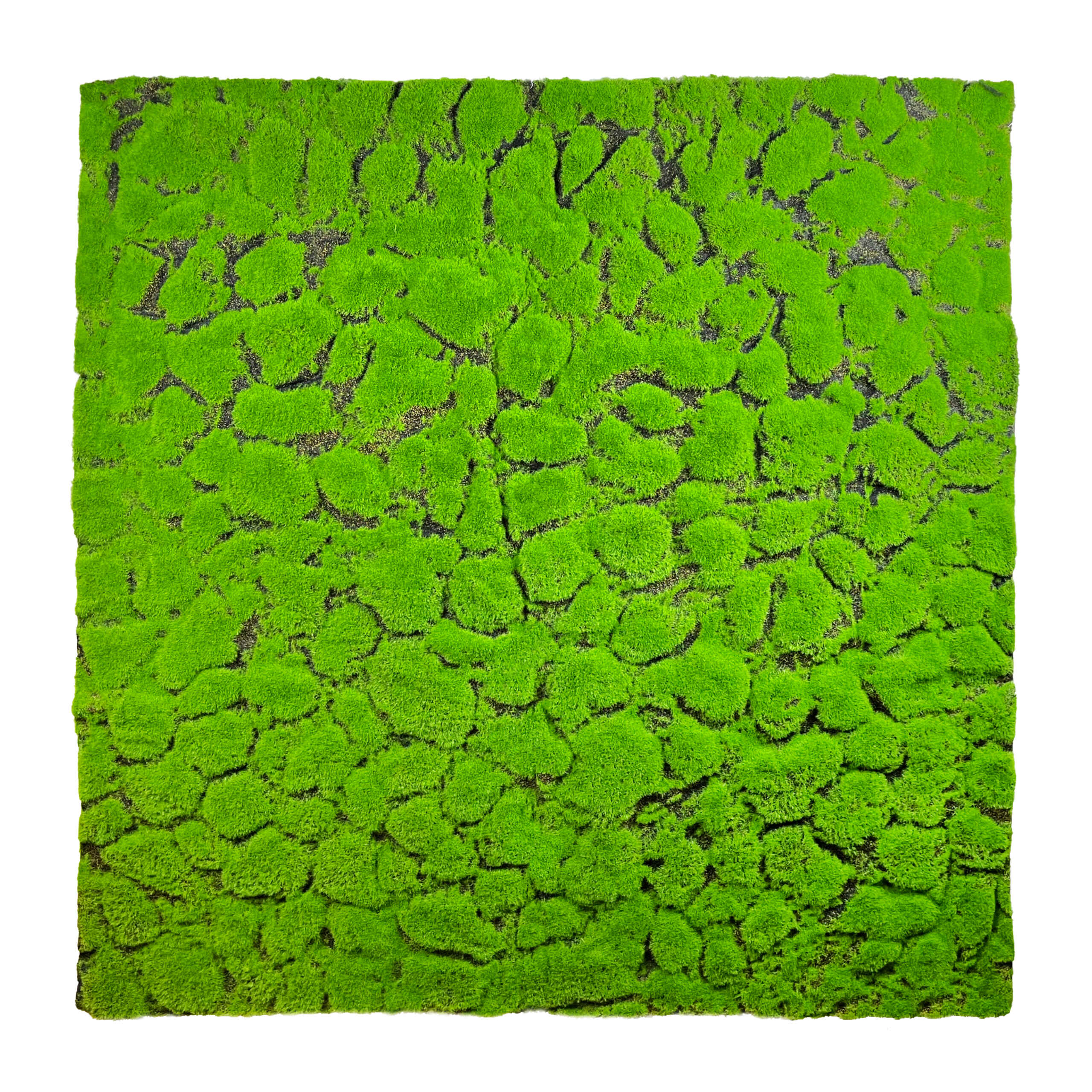 Sztuczny panel ścienny, sztuczna dekoracja, Sztuczny mech Dekoracyjny 100x100cm
