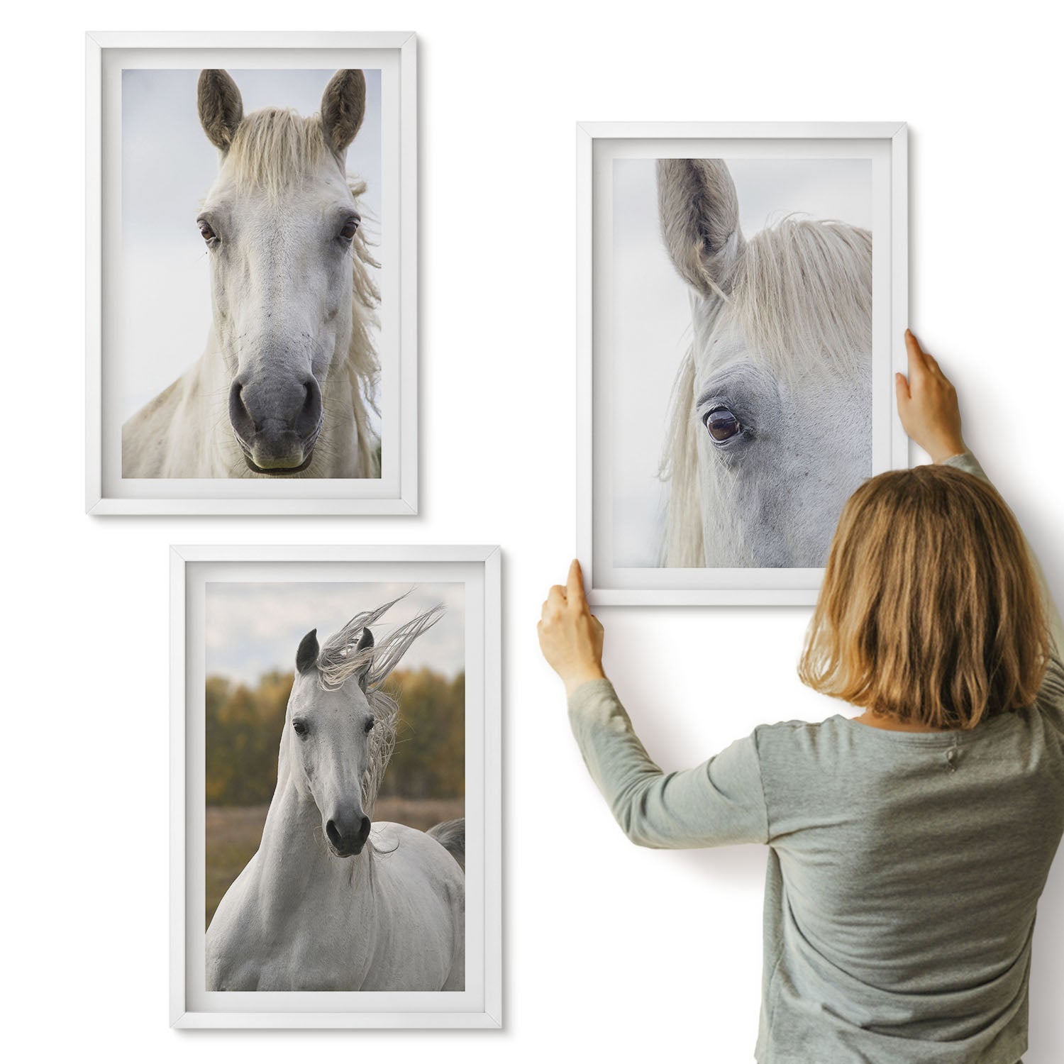 Galeria ścienna 3-częściowy komplet obrazów w białych ramach - Białe konie w różnych pozach na tle natury - ArtPrintCave