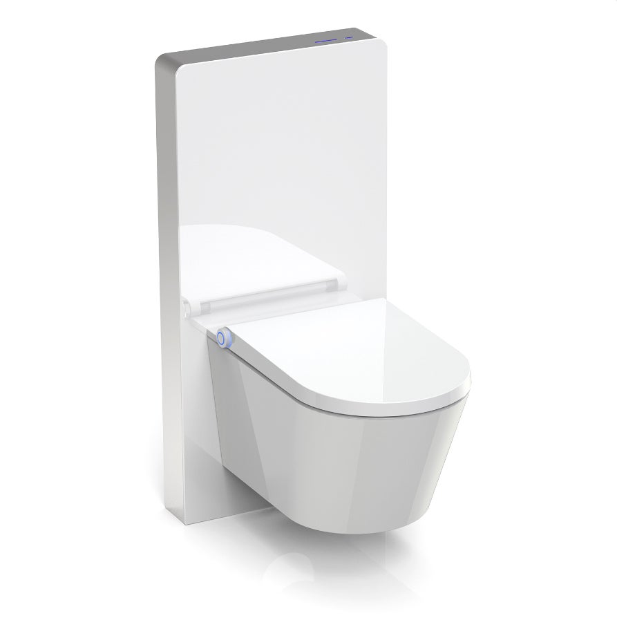 Bernstein Zestaw WC Toaleta myjąca Basic 1102 + moduł sanitarny 805S + mata