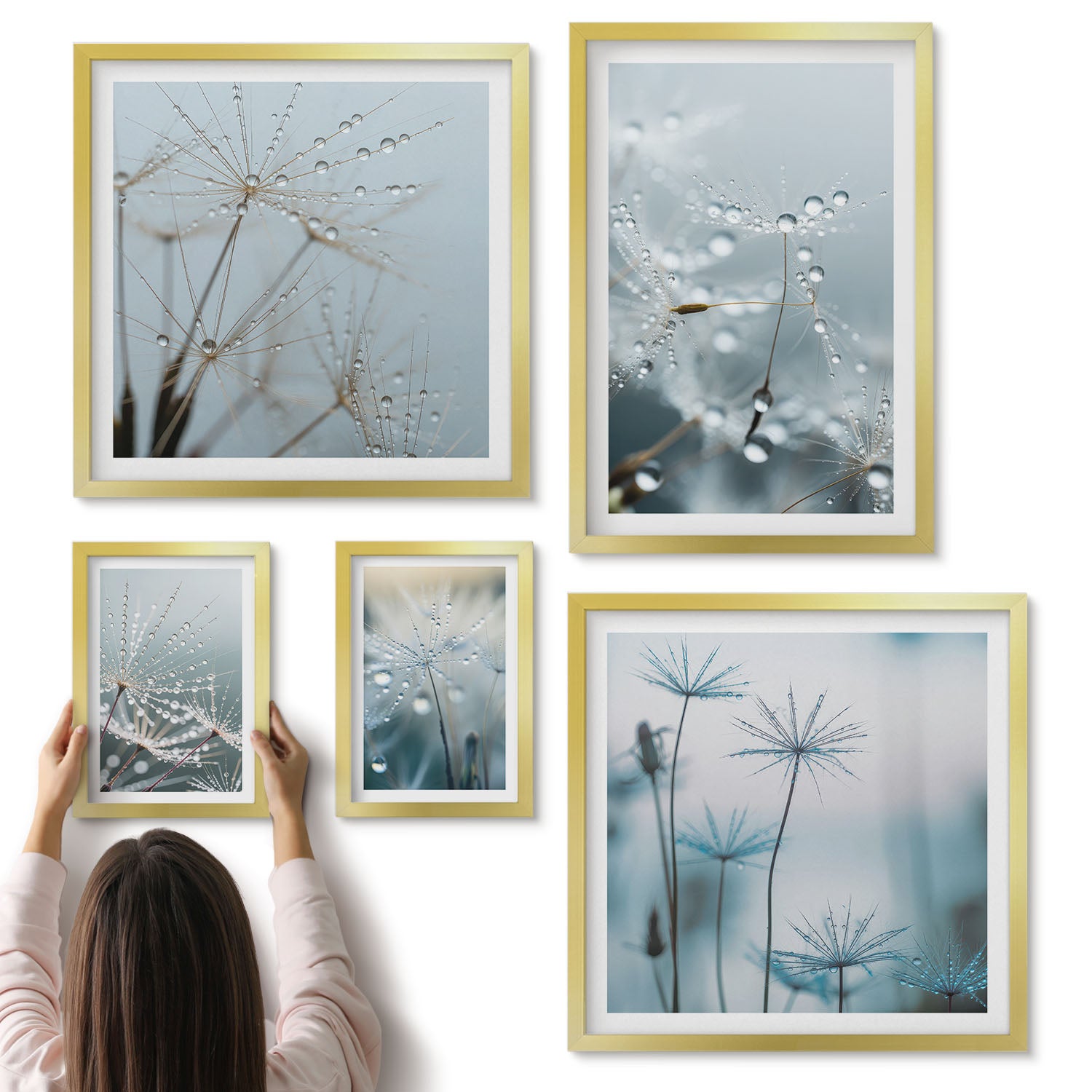 Galeria ścienna 5-częściowy komplet obrazów w złotych ramach - Delikatne motywy roślinne z kroplami wody na tle natury - ArtPrintCave