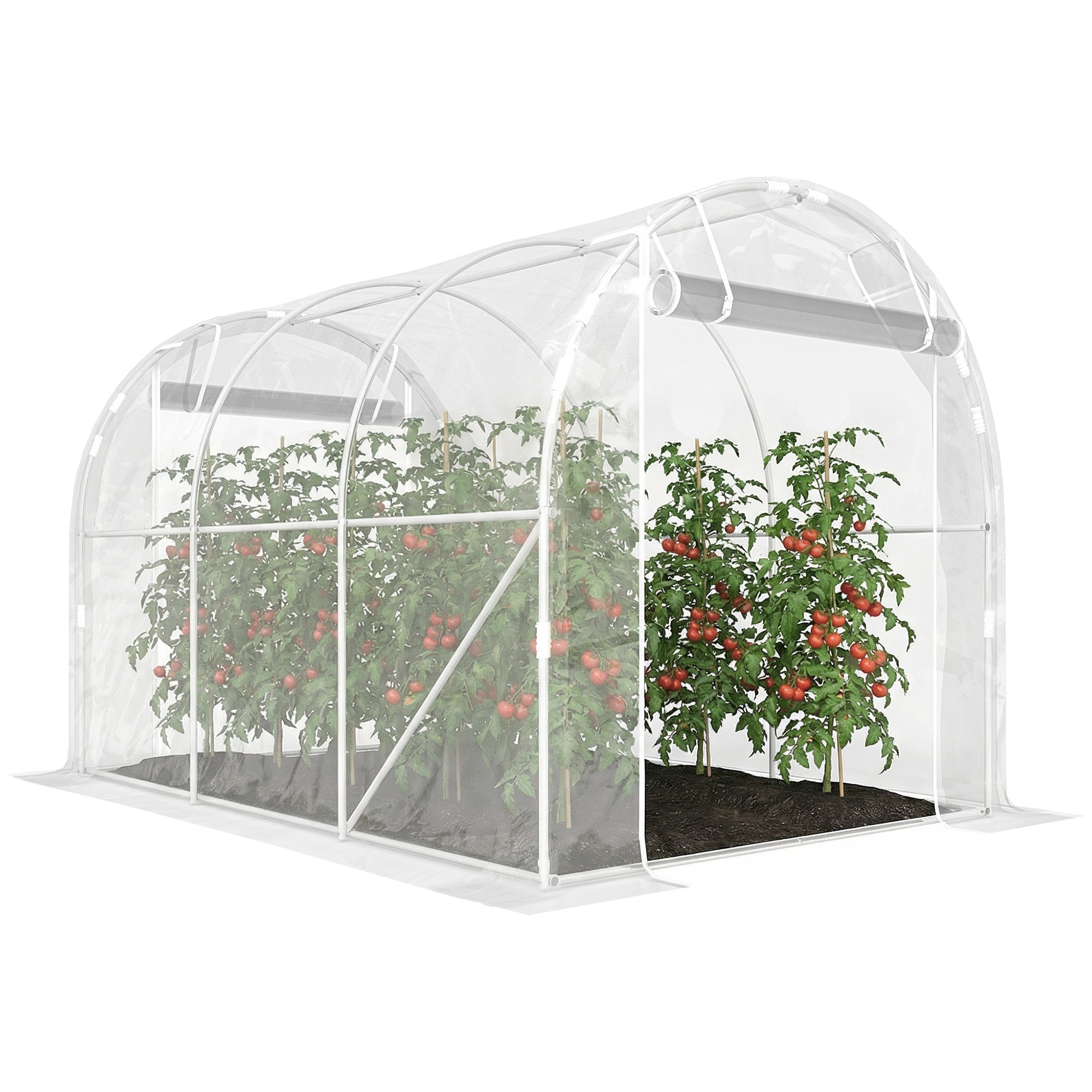3x2x2 m szklarnia tunelowa z 2 zwijany drzwi, Galvanized stalowa rama, przezroczysty odporny na promieniowanie UV pokrowiec PE