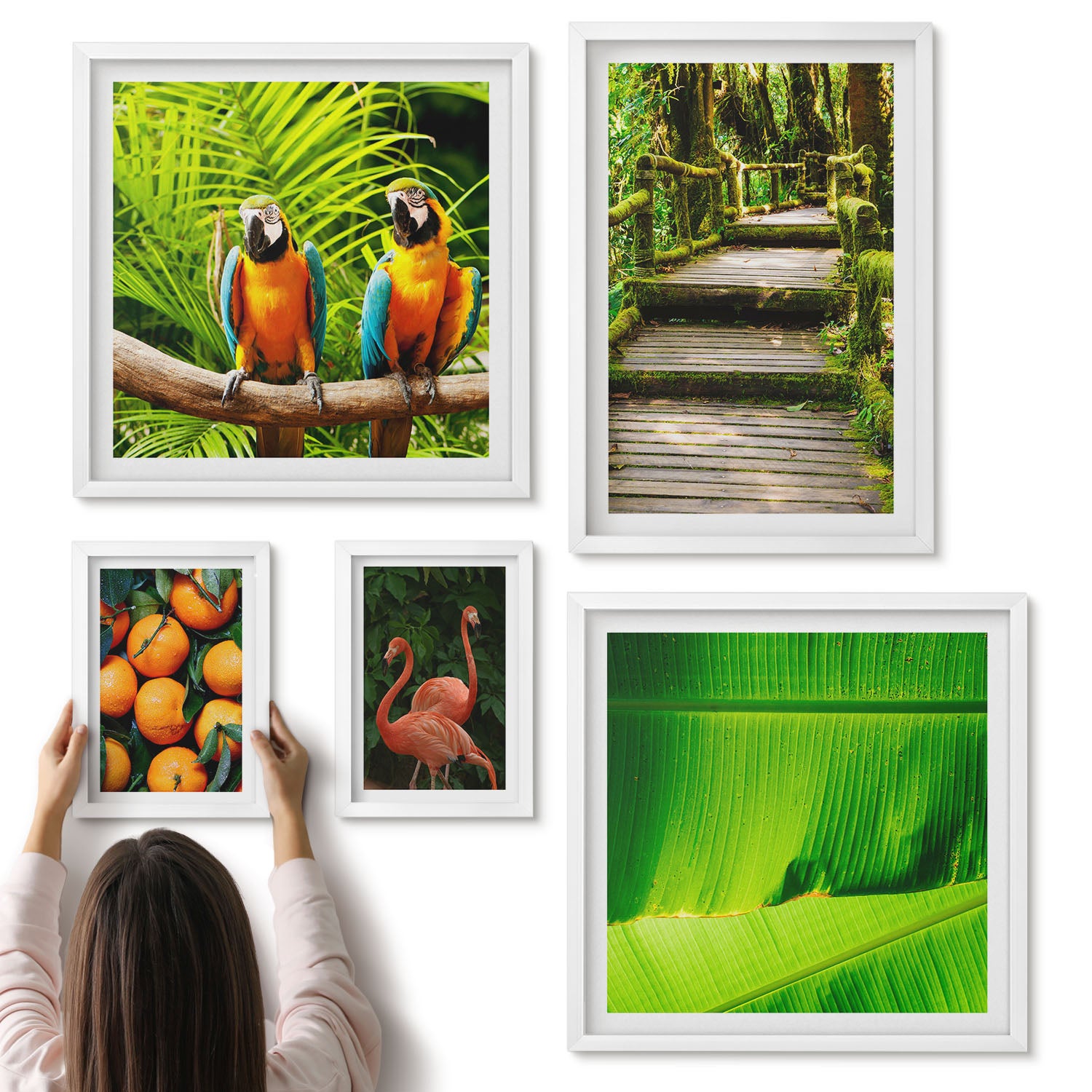 Galeria ścienna 5-częściowy komplet obrazów w białych ramach - Tropikalne motywy natura egzotyczne owoce i ptaki - ArtPrintCave