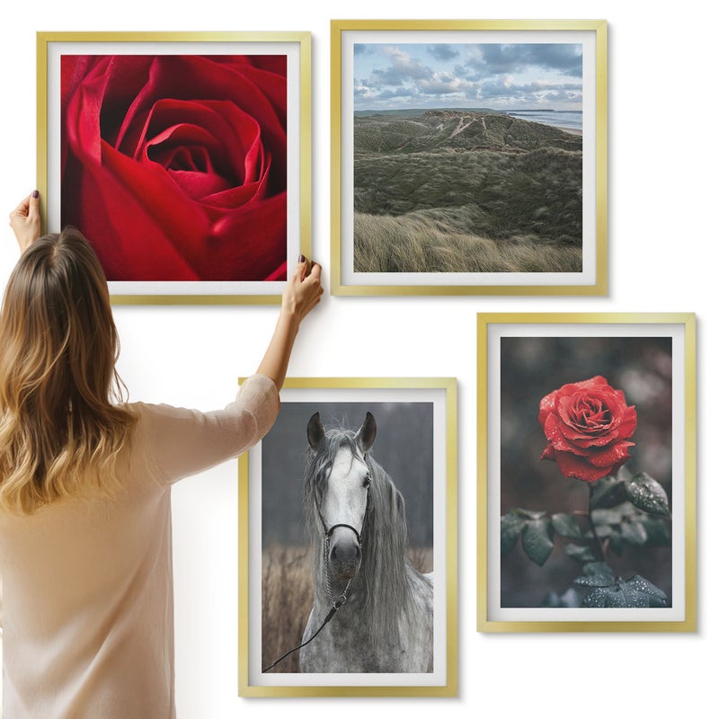 Galeria ścienna 4-częściowy komplet obrazów w złotych ramach - Czerwone róże i koń w szarym otoczeniu - ArtPrintCave