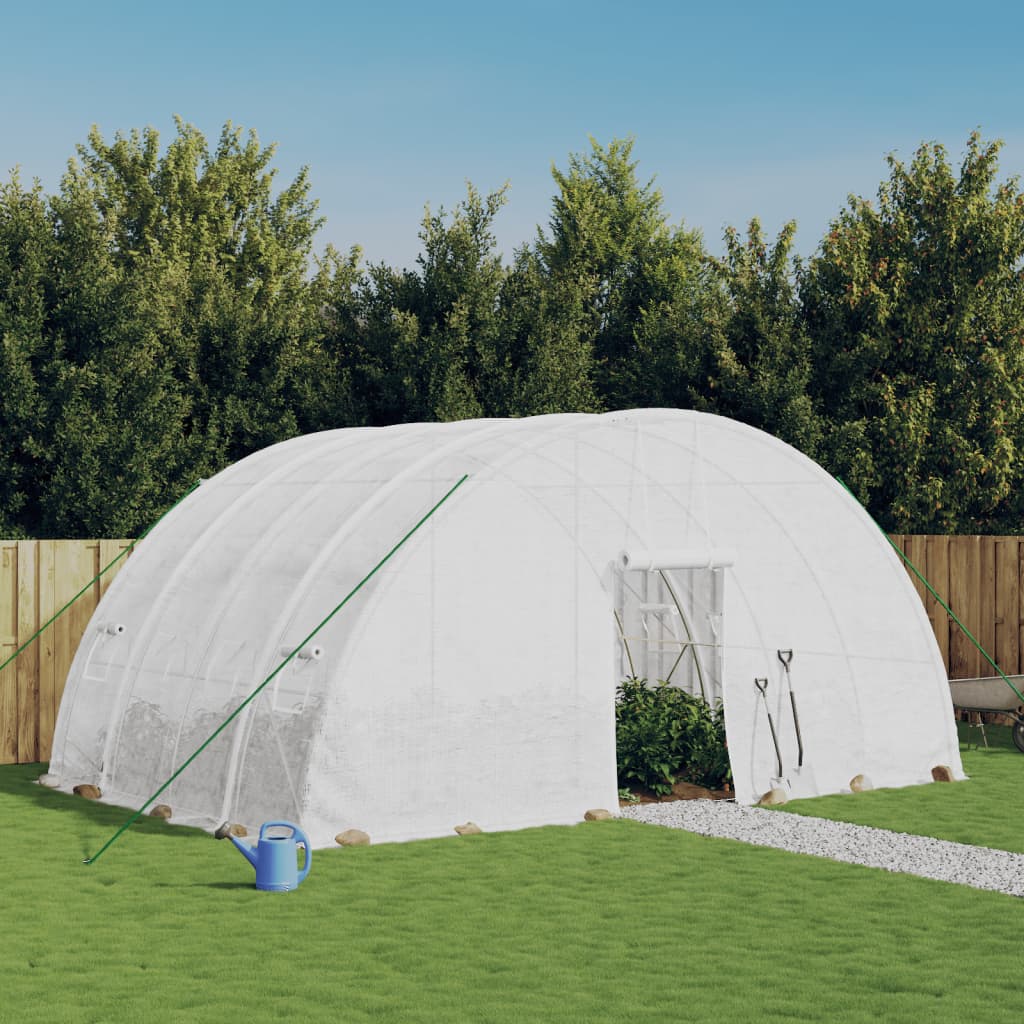 Szklarnia ze stalową ramą, biała, 24 m², 6x4x2,85 m vidaXL