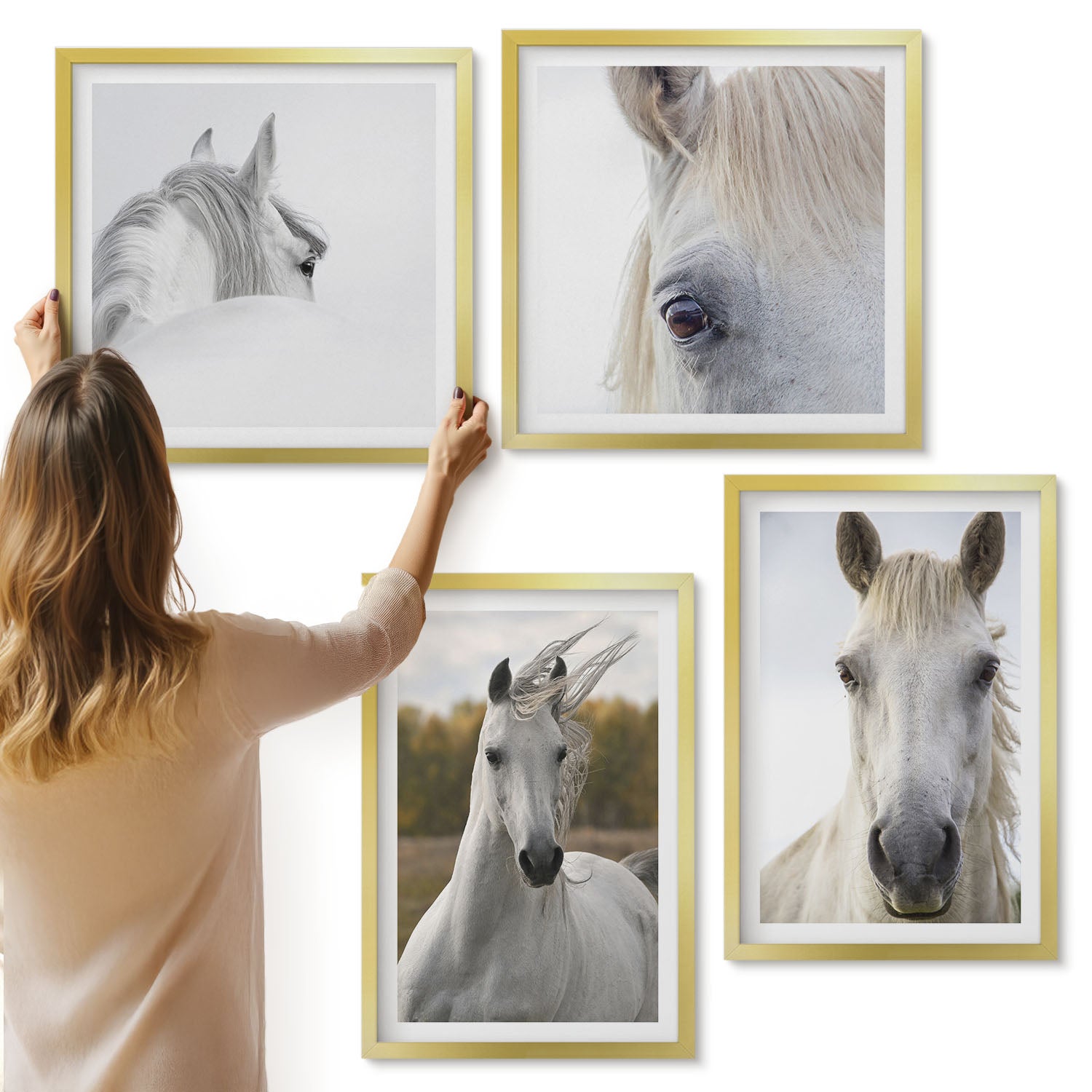 Galeria ścienna 4-częściowy komplet obrazów w złotych ramach - Białe konie w różnych pozach na tle natury - ArtPrintCave